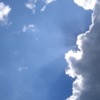 空猫