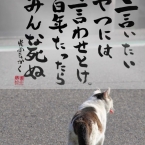 なっつなっつ
