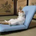 クワ