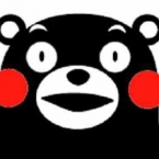 azuki104
