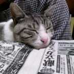 あるく