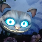 tomo_om212