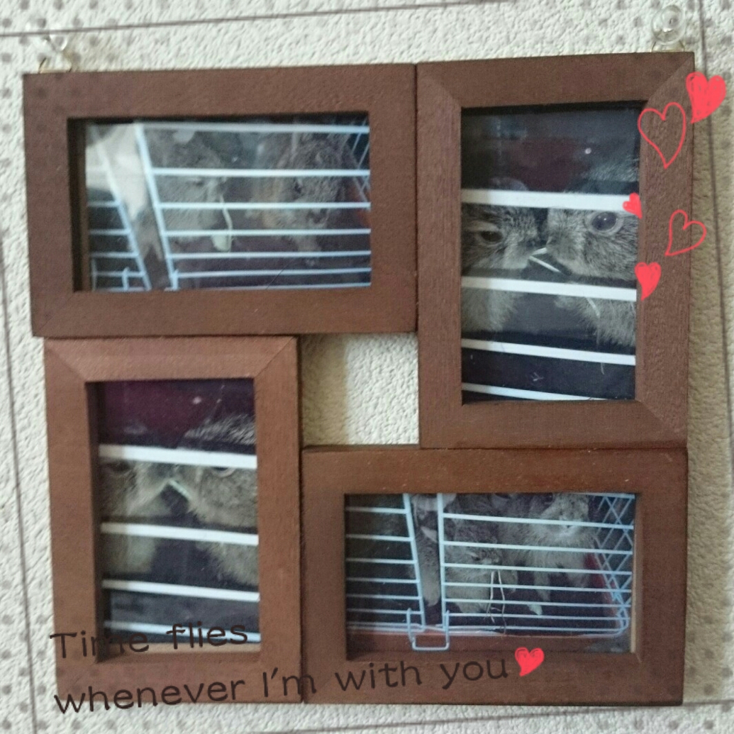 セリアのフォトフレームをお洒落に♪の作り方｜その他｜アート・写真 