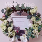 ウェルカムドール