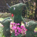 クマコ