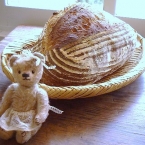 bear-bear-mari