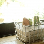 bright_nanohana