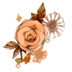 chocolate-lilly