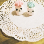 * . c h o m o 。○