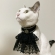 猫の首飾り　ビクトリア調カラー