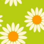 cocobloom