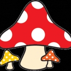 やまちょ