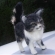 ウチのにゃんこ子猫バージョン