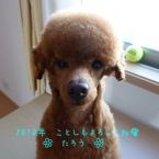 hanautakun