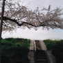 happy_otome
