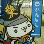 higame