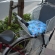 自転車（後部座席）子乗せクッション