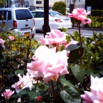 kimukimu0029