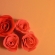 簡単樹脂粘土の薔薇