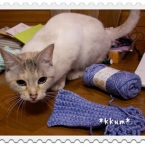 kkum0108