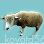 koyata56