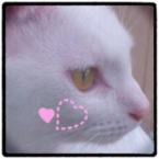 rui*
