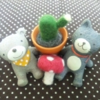 くまにゃんこ☆ミ