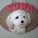 トイプードルのSORA君