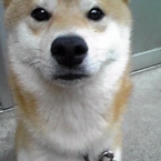 ぃちご飴