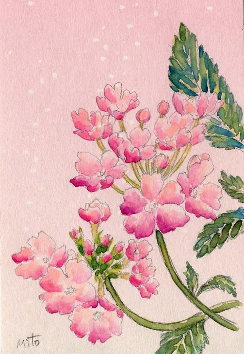 ピンクノバーベナの作り方 カード レター 紙小物 ステーショナリー アトリエ ハンドメイドレシピ 作り方 と手作り情報サイト