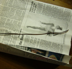 新聞紙で作る 簡易リース台の作り方 手順 1 その他 フラワー ガーデニング アトリエ ハンドメイドレシピ 作り方 と手作り情報サイト