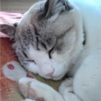 michi*