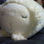 mogu2