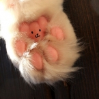 モコ