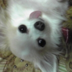 mysweethana