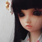 ぬいたん