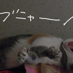 nyanmame