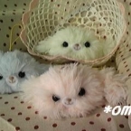 cafe-omi