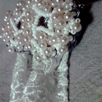 パール盛り靴クリップ