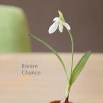 Bonne Chance