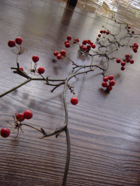 サンキライ リースのつくりかた編の作り方 手順 1 ドライフラワー ブリザーブドフラワー フラワー ガーデニング アトリエ ハンドメイドレシピ 作り方 と手作り情報サイト