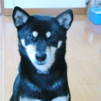 reiya0703
