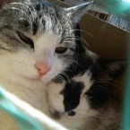 riku2011