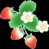 沙翁