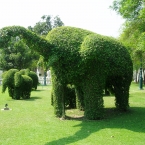 siawase_zousan