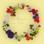 smile_port
