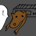 sobachauma