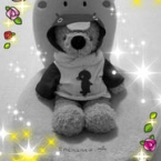 sunny-bear