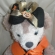 ◆◆シェリーのハロウィンリボン◆◆
