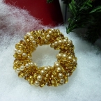 mini　リース　２０１０